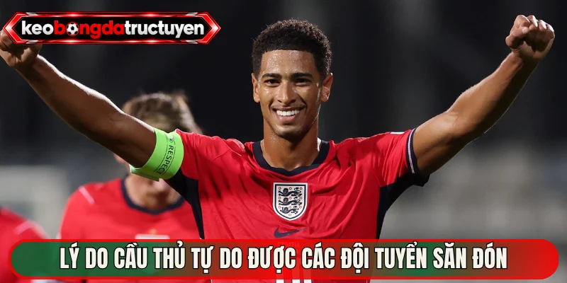 Lý do cầu thủ tự do được các đội tuyển săn đón