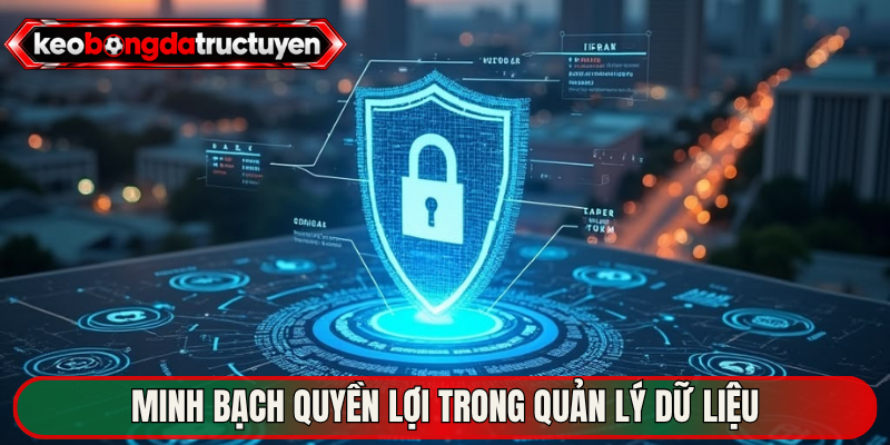 Minh bạch quyền lợi trong quản lý dữ liệu