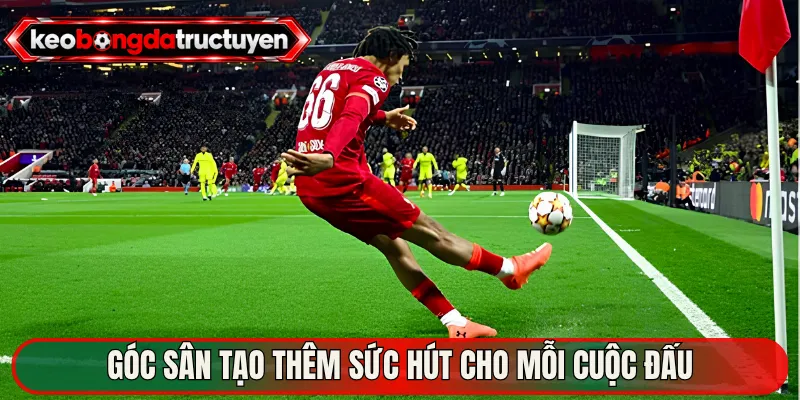 Góc sân tạo thêm sức hút cho mỗi cuộc đấu