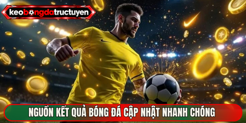 Nguồn kết quả bóng đá cập nhật nhanh chóng 