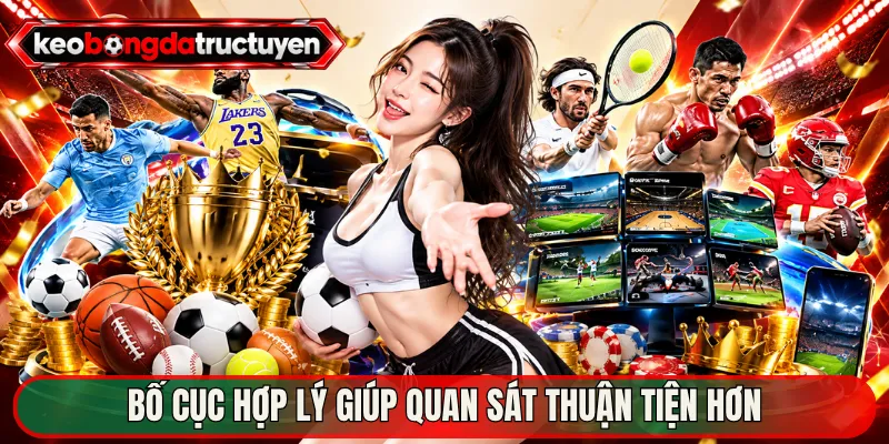 Bố cục hợp lý giúp quan sát thuận tiện hơn